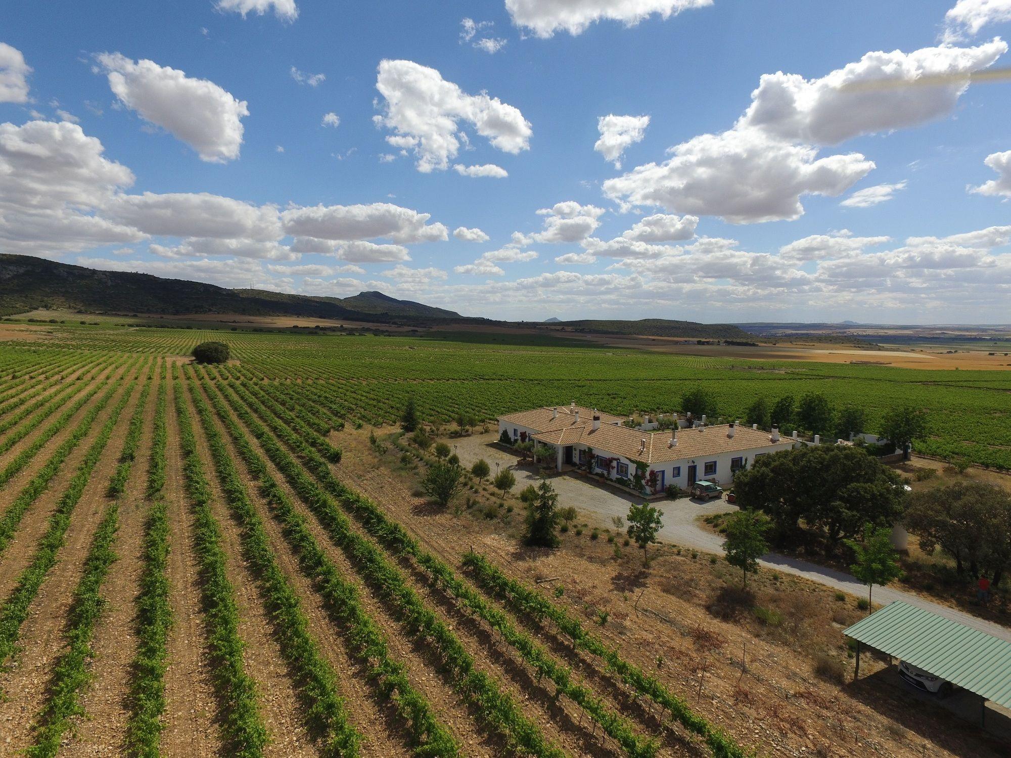 Finca El Romeral Alpera 외부 사진