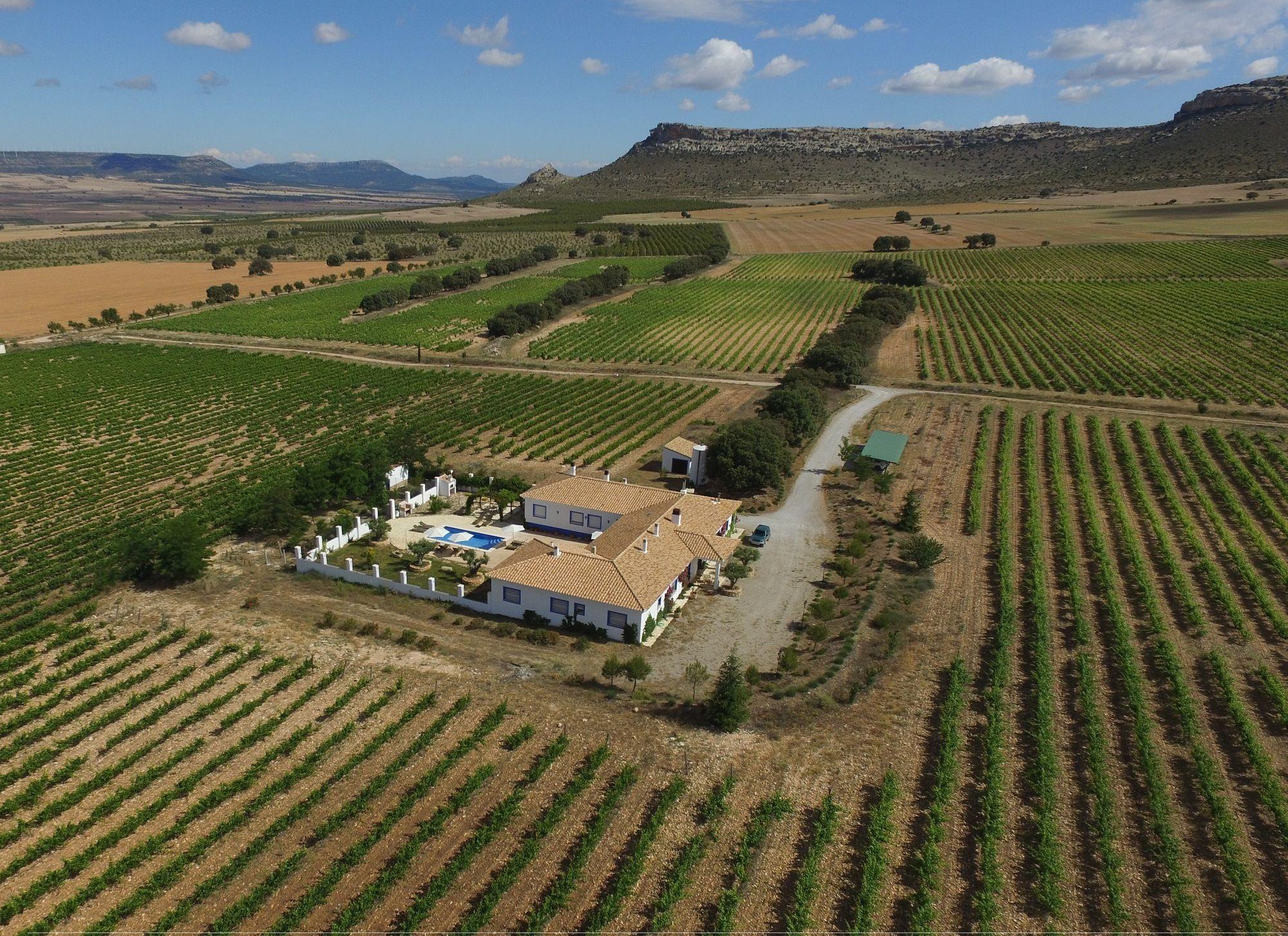 Finca El Romeral Alpera 외부 사진