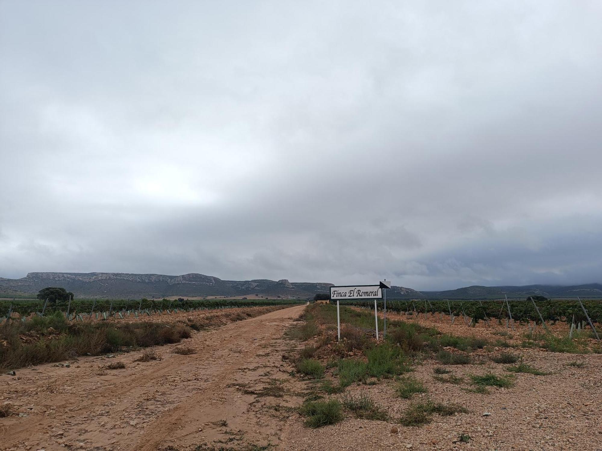 Finca El Romeral Alpera 외부 사진