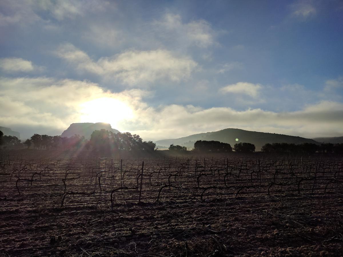 Finca El Romeral Alpera 외부 사진
