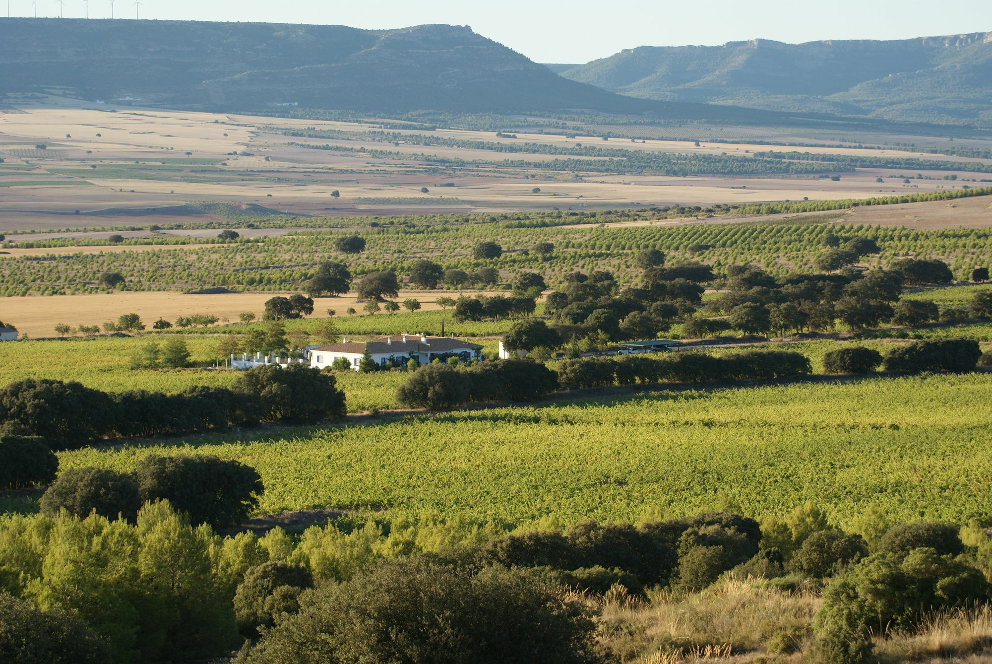 Finca El Romeral Alpera 외부 사진