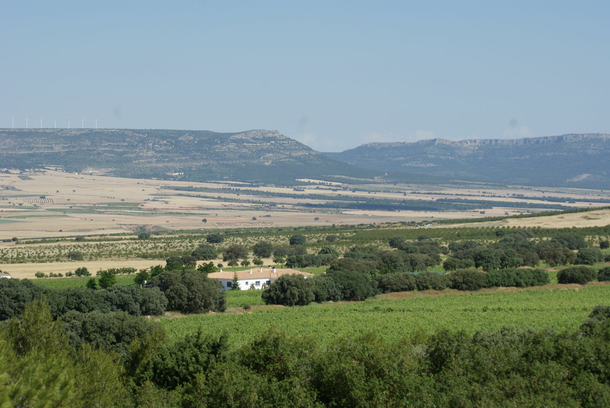 Finca El Romeral Alpera 외부 사진